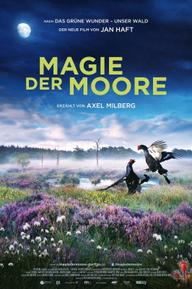 Magie der Moore - Magie der Moore (2015)